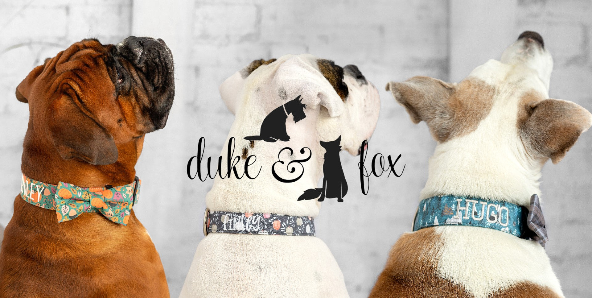 From Etsy to Shopify